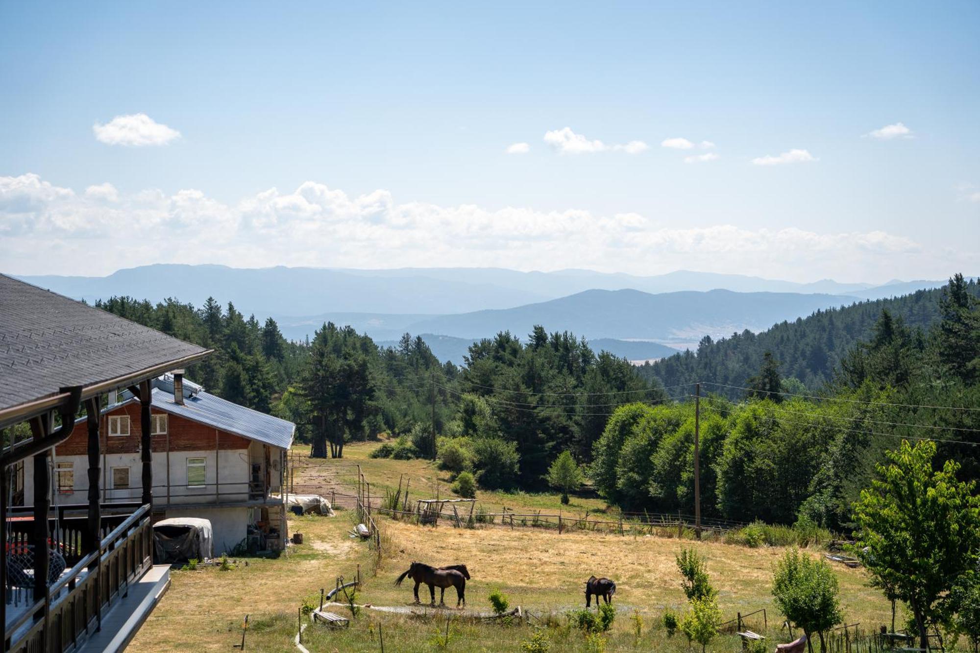 Rusaliite Adventure House Bachevo  Exterior photo
